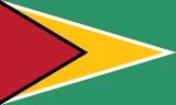 Flag of Guyana