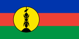 New Caledonia flag 160px PNG