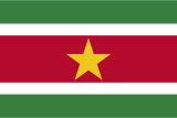 Suriname flag 160px PNG