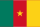 Flag of Cameroon