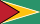 Guyana flag 40px PNG