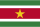 Suriname flag 40px PNG