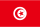 Tunisia flag 40px PNG